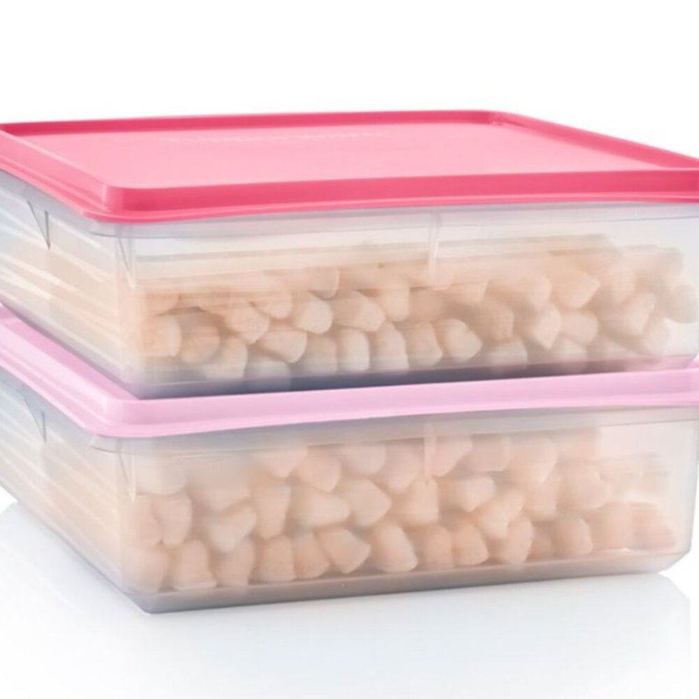 BRAND NEW set of 2 Snack Stor